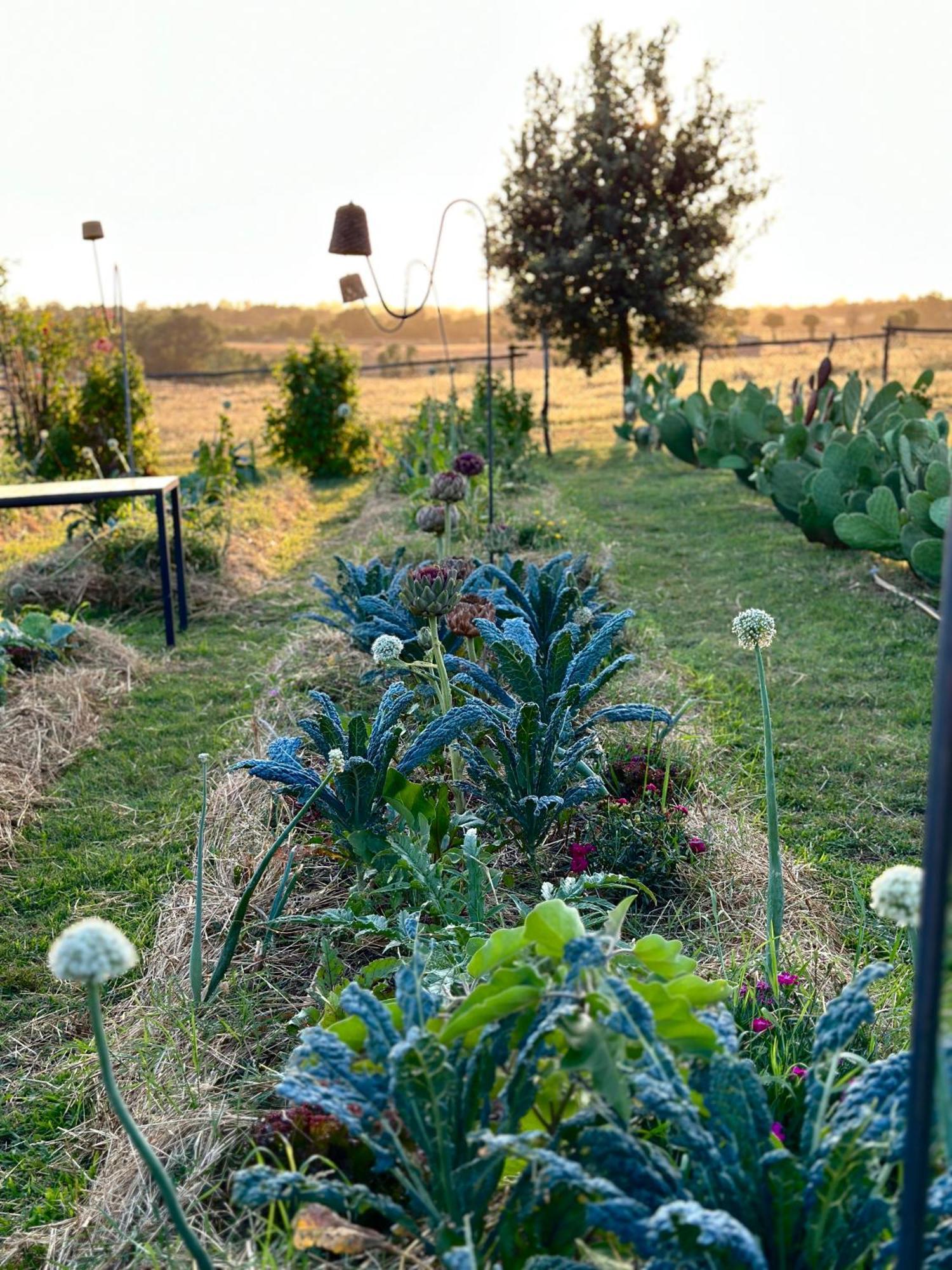 Tenuta Di Paternostro Ветралла Экстерьер фото