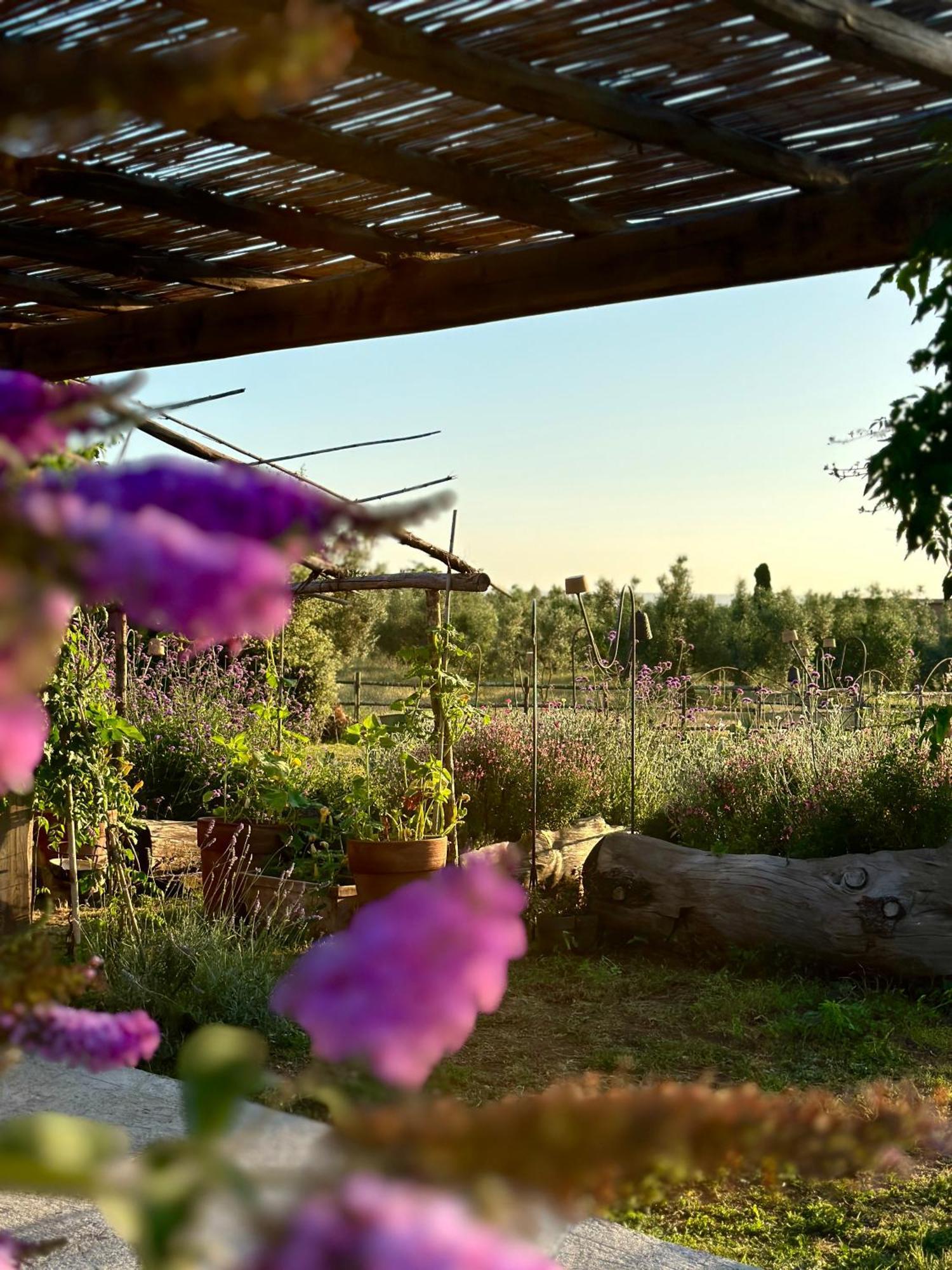Tenuta Di Paternostro Ветралла Экстерьер фото