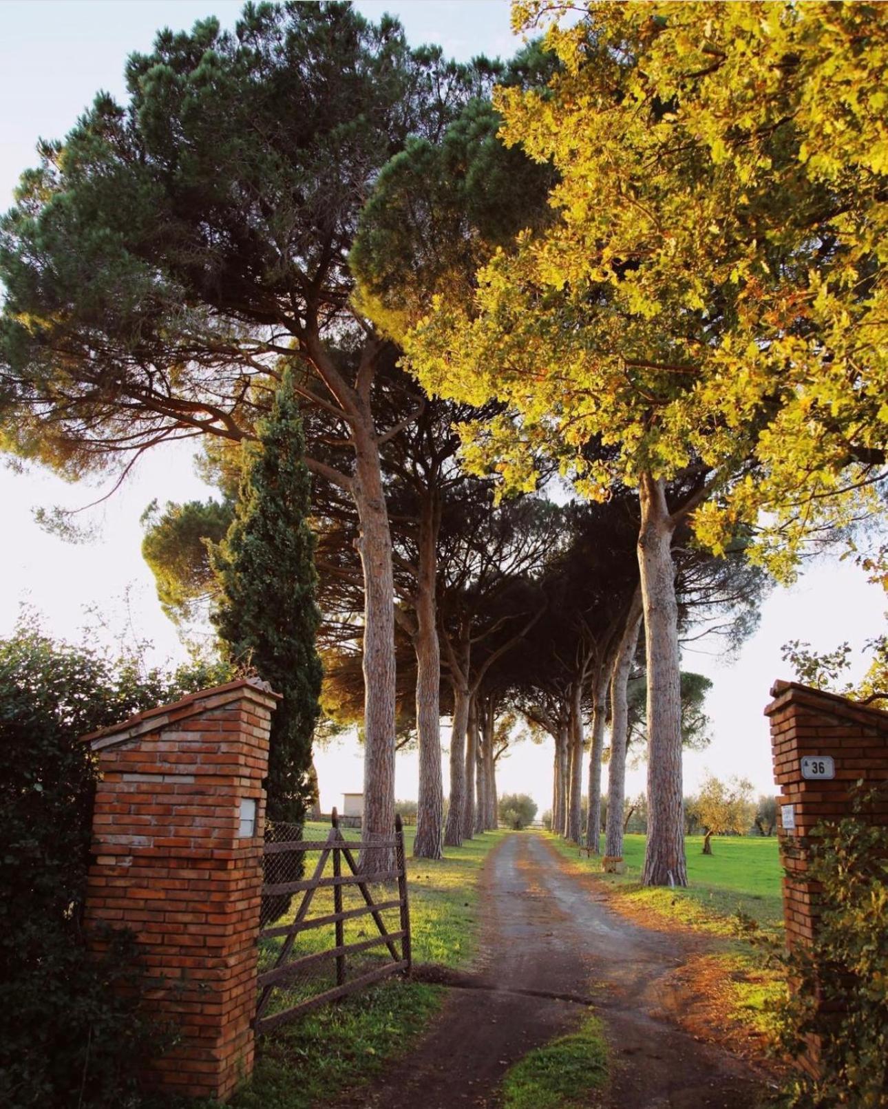 Tenuta Di Paternostro Ветралла Экстерьер фото